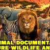 Live Documentary Animals APK
