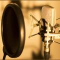 Vocals