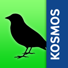 Birds of Europe: Identificatio icon