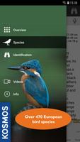 Birds of Europe: Identificatio پوسٹر