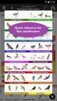 Birds of Europe: Identificatio 스크린샷 3