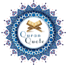 Beautiful Quran Quotes-APK