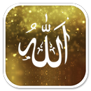 Allah Islamic Wallpapers APK