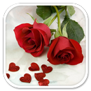 Rose Wallpapers APK