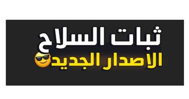خبير تثبيت السلاح تصوير الشاشة 2