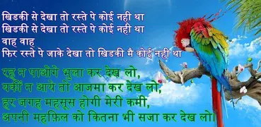 Love Shayari 2024 : Pyar, Dard