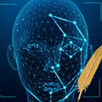 FaceNotes APK