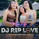 DJ RIP LOVE - VAOUZIA VIRAL APK