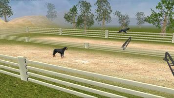 Rottweiler screenshot 3