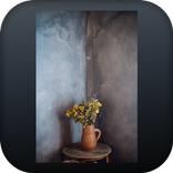 Home Designs (Decor and More)