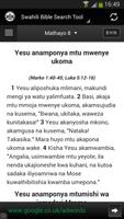 Swahili Audio Bible capture d'écran 3
