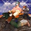 Reckless Wrestling Revolution: Knockout Fight Club