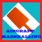 Aircraft Marshalling icon