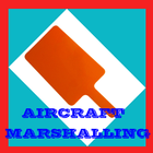Icona Aircraft Marshalling