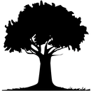 Wildewood Christian Church APK