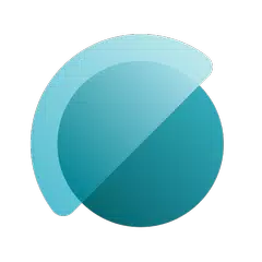Web - Workspace ONE APK download