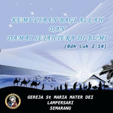 Mater Dei иконка