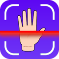 Palmistry: Future Insights