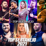 música sertaneja - 100 canções