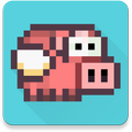 Flying Pig