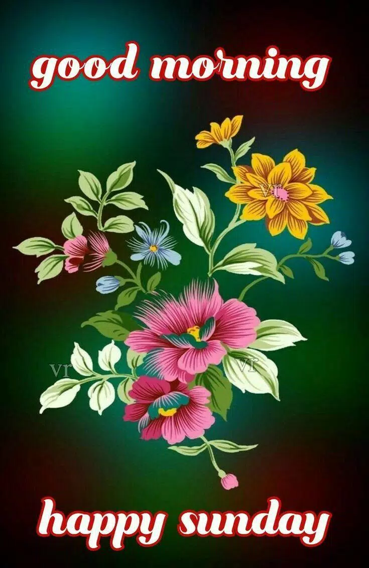 Happy sunday greetings APK for Android Download