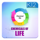 Chemical Basis of Life иконка