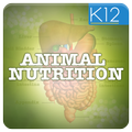 Animal Nutrition Biology