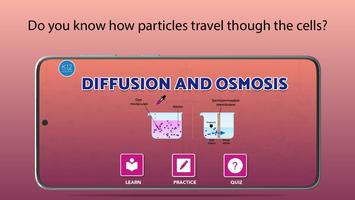 Diffusion and Osmosis 海报