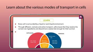 Diffusion and Osmosis 截图 1