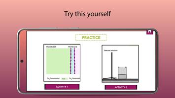 Diffusion and Osmosis 截图 3