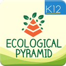 Ecological Pyramid-Food Chain APK