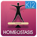 Homeostasis Biology