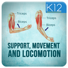 Icona Support, Movement & Locomotion