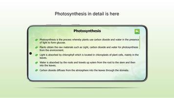 Organic Plant Nutrients screenshot 2