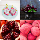 Guess The Fruit 2021 APK