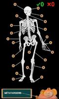 Anatomie drôle capture d'écran 2