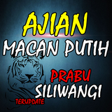 Ajian Macan Putih Tanpa Puasa  simgesi