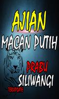 Ajian Macan Putih Tanpa Puasa  Ekran Görüntüsü 3