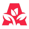Ajiltai