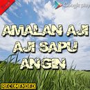 Aji Sapu Angin Tubuh Ringan Lincah Ampuh Terbaik APK