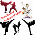 Teach Yourself the Basics of Karate icône