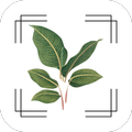 VerdiVista Identifier Plante