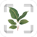 VerdiVista - Plant Identifier aplikacja