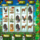 Jogo do Bicho Slot Machine 圖標