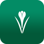 مملكة النباتات المنزلية