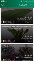 مملكة النباتات المنزلية تصوير الشاشة 3