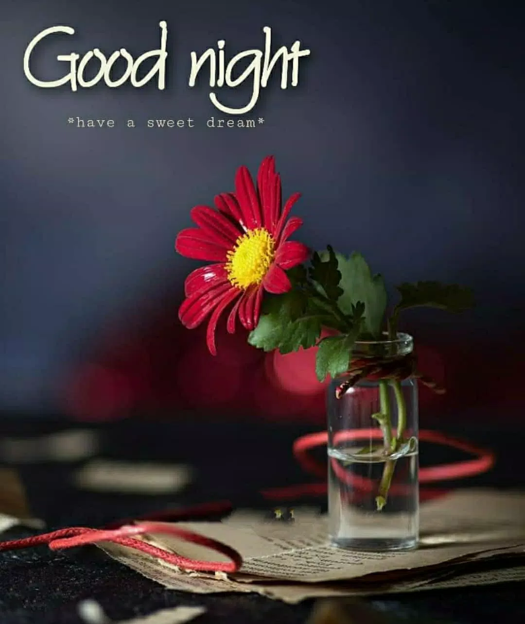 Good Morning Good Night Quotes Status App Apk Pour Android Telecharger Good Morning Good Night Quotes Status App Apk Pour Android Telecharger