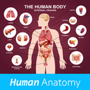 Human Anatomy APK
