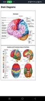 Human Anatomy 截圖 3