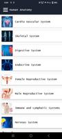 Human Anatomy 海報